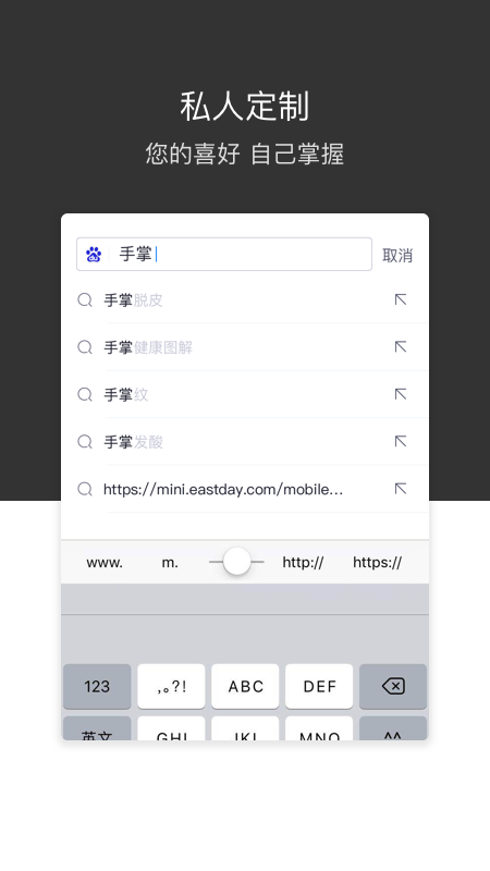 绿叶浏览器国际版