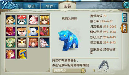 诛仙手游青云宠物冰焰熊怎么加点