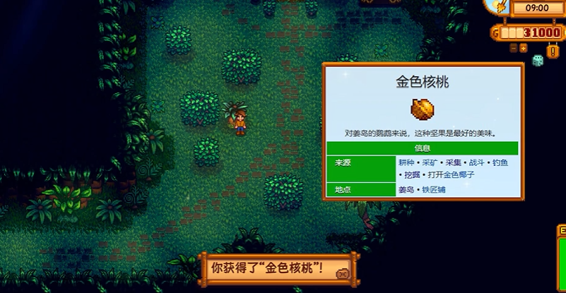 星露谷物语怎么查剩余金核桃