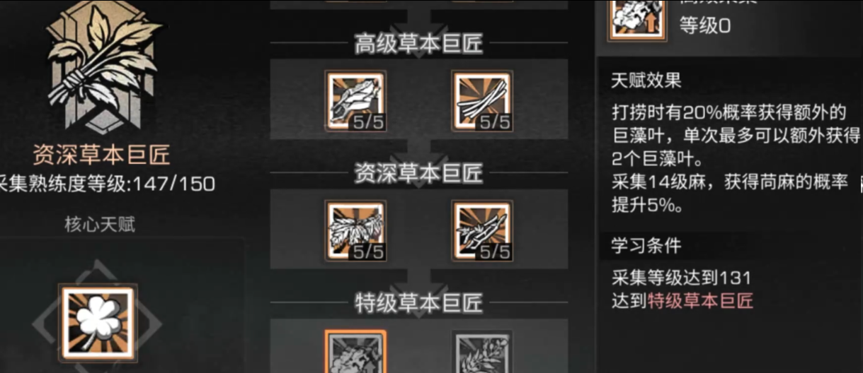 明日之后应该选什么职业好