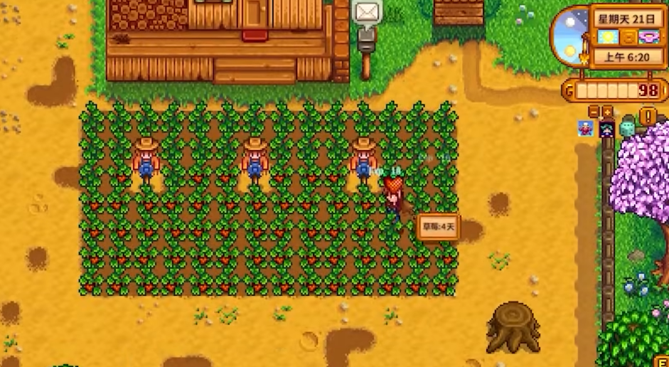 星露谷物语应该种什么