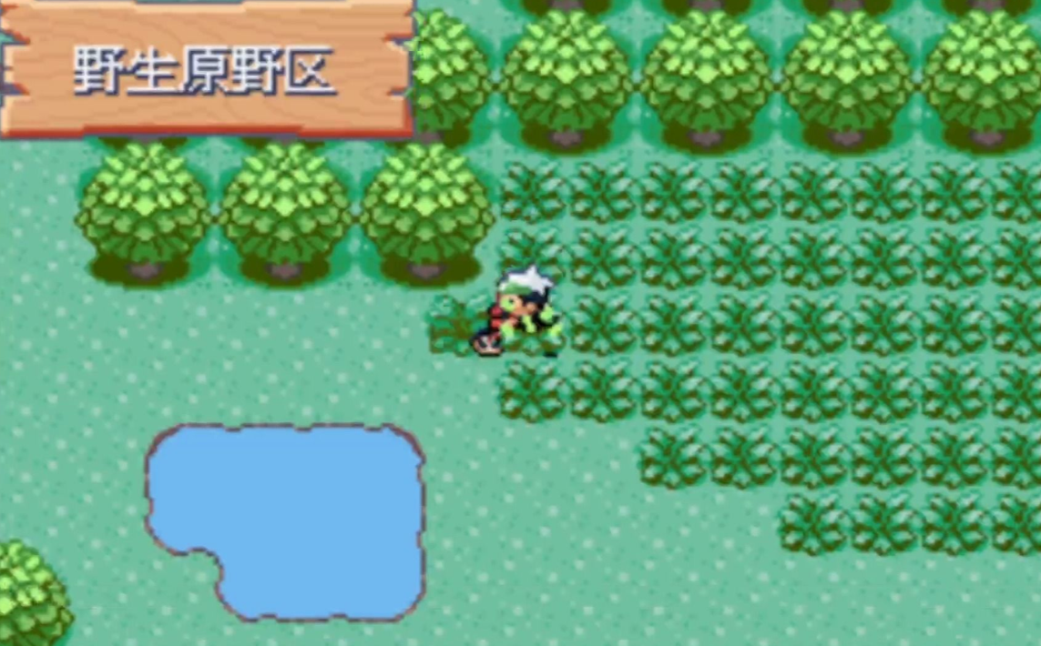 口袋妖怪火红果然翁在哪