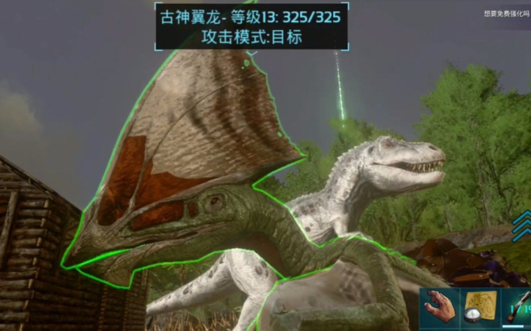 方舟生存进化古神翼龙加什么点