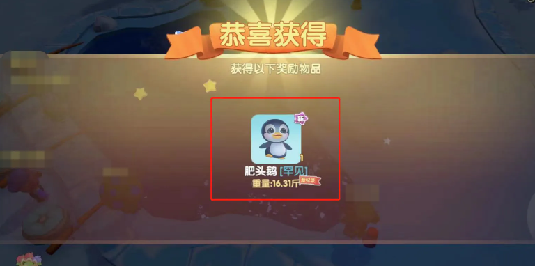 摩尔庄园肥头鹅怎么装饰