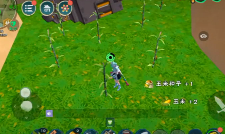 创造与魔法玉米哪里多