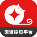 金贝猫